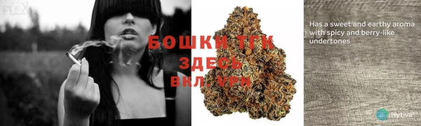 стафф Няндома