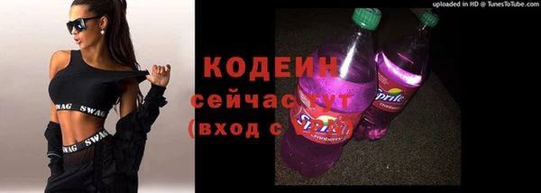 стафф Няндома