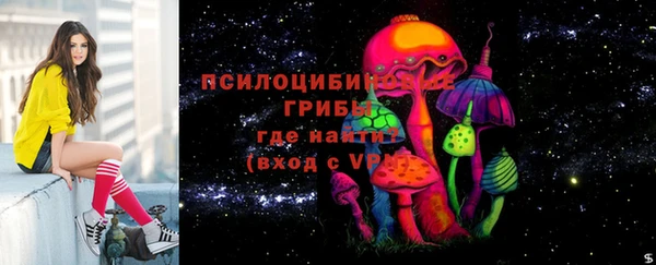 стафф Няндома