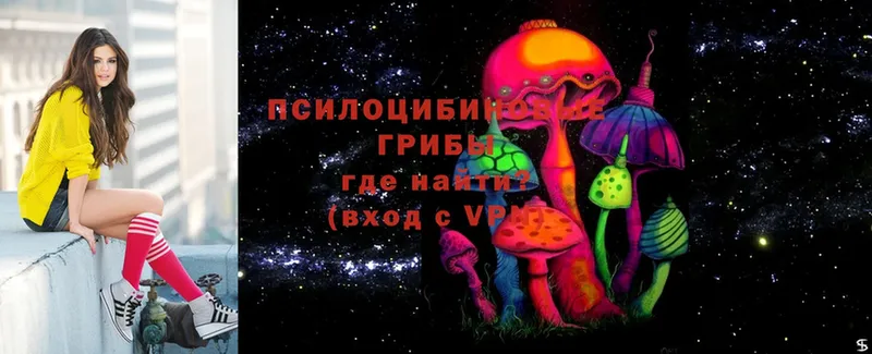 Галлюциногенные грибы Cubensis  Кудрово 