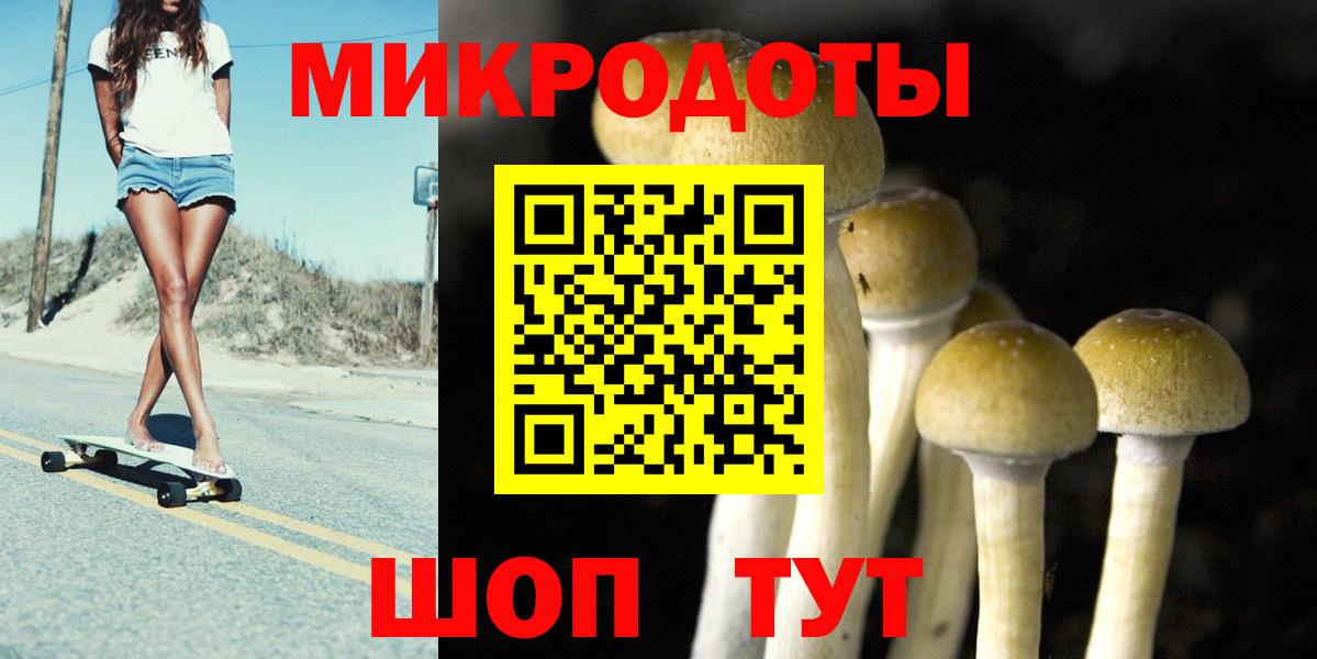 Псилоцибиновые грибы мицелий  Псилоцибиновые грибы прущие грибы  Кудрово  Вход с VPN 