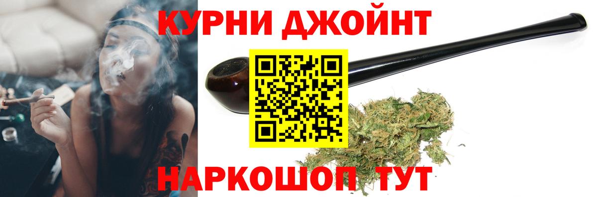 Каннабис конопля Кудрово